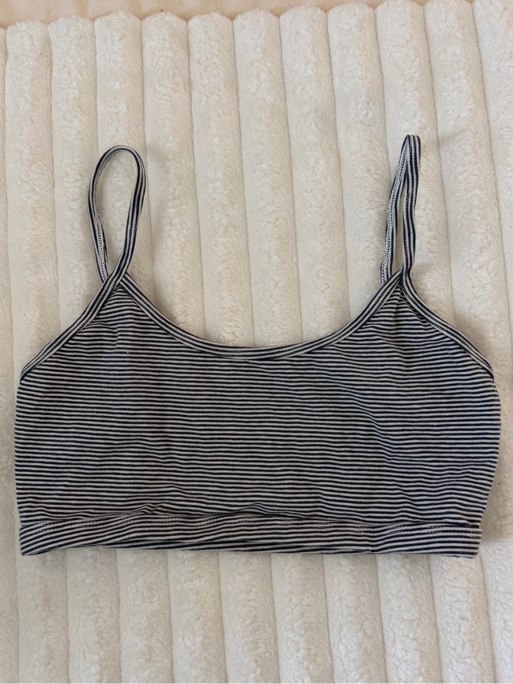 Brandy Melville Striped Blue & White Cropped Tank Top